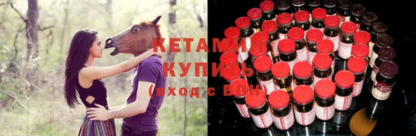 кокс Аркадак